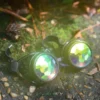 Kaleidoscope Goggles - Black - Rainbow Fractal - Image 2